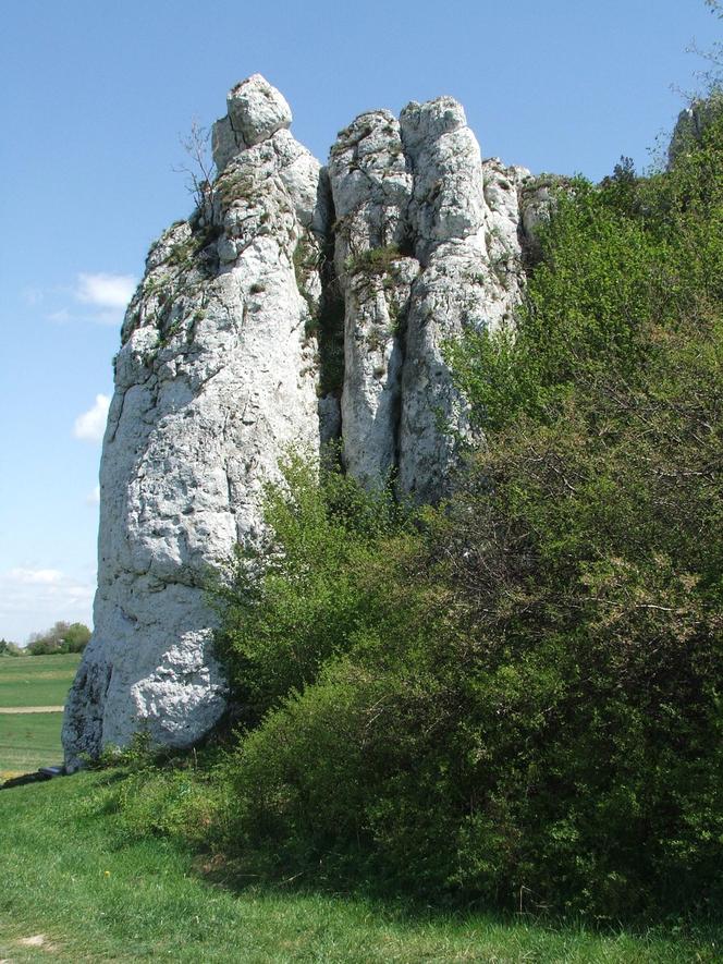 Ostry Kamień (zwany kapucynem) w Jerzmanowicach