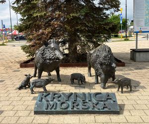 Krynica Morska to popularne miejsce na urlop. Jakie sątu ceny?