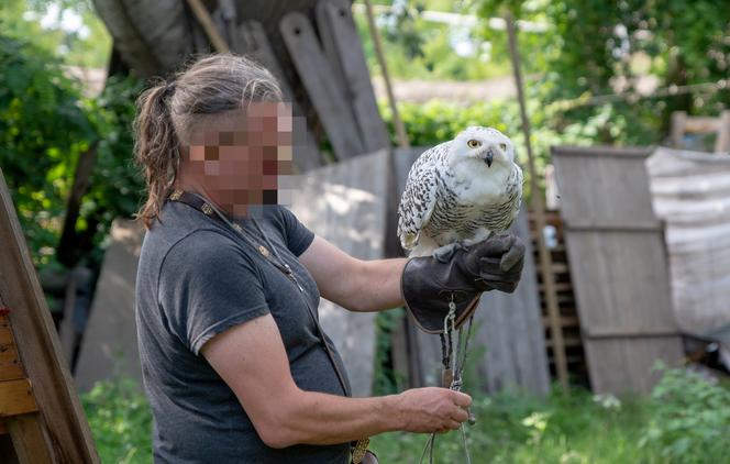 Seksafera na Targówku. Znany aktywista zatrzymany za wykorzystanie 14-latki