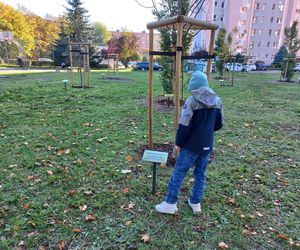 Danusia, Halinka, Linkus, Seniorita i Stasiu zapuszczają korzenie