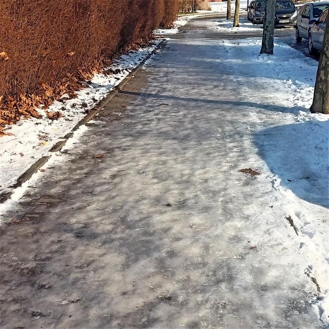 Bydgoskie chodniki jak lodowisko! Mieszkańcy są załamani. "Przecież na tym można się zabić!" [ZDJĘCIA]