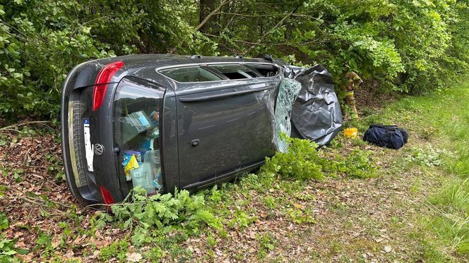 Auto zderzyło się z żubrem. Dwie osoby w szpitalu