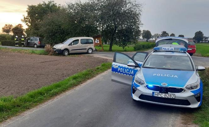 Pijany kierowca spowodował kolizję. Auto ofiary wylądowało na żywopłocie