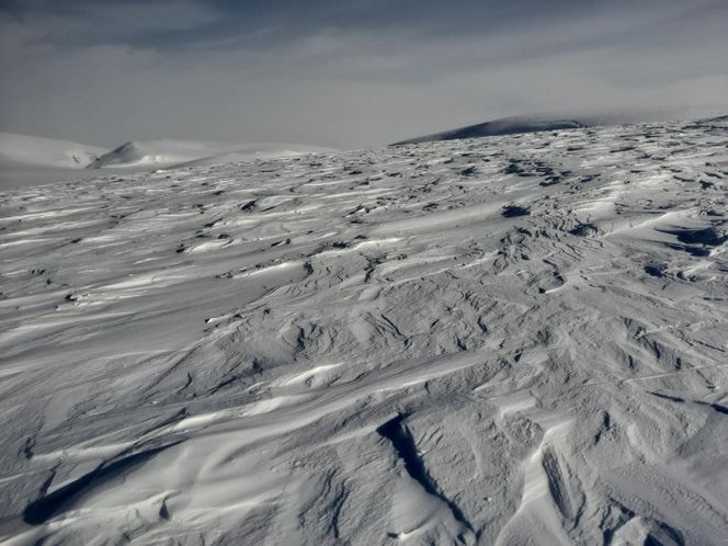 Polka samotnie weszła na Newtontoppen (1713 m), najwyższy szczyt wyspy Spitsbergen. Zrobiła to z bronią! 