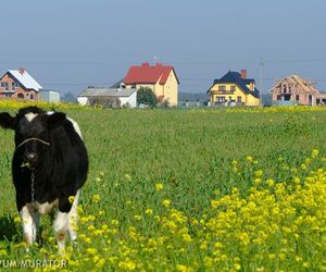 Naruszenie praw właściciela nieruchomości. Jak zgłosić roszczenie o wydanie nieruchomości, zaniechanie naruszeń i zapłatę wynagrodzenia za bezumowne korzystanie?