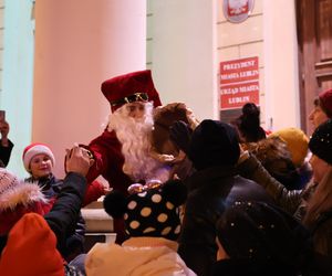 Boże Narodzenie 2024. Światełka oświetliły choinkę na pl. Łokietka w stolicy woj. lubelskiego! Tak się prezentuje