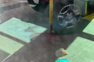 Zalana krwią pasażerka tramwaju. Makabryczny wypadek na warszawskiej Białołęce