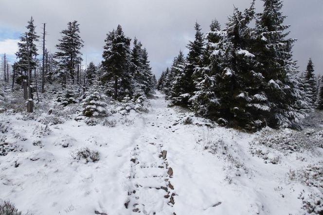 Zima w Karkonoszach! Góry przykryte śniegiem. Oto wasze zdjęcia z minionego weekendu