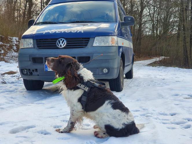 Dramat policjanta z Bydgoszczy. W kilka minut stracił dom i cały dorobek życia [ZDJĘCIA]