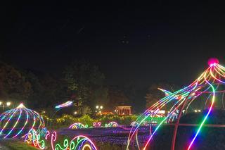 Park Miliona Świateł powraca! Zobacz, jak się prezentuje