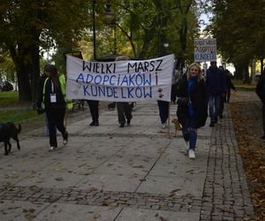 Wielki marsz adopciaków w Radomiu