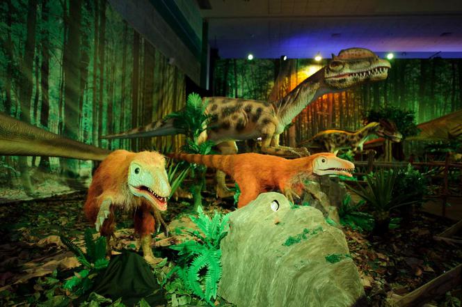 wystawa dinozaurów