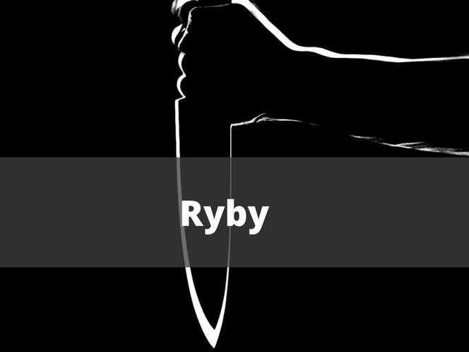 7. Ryby 