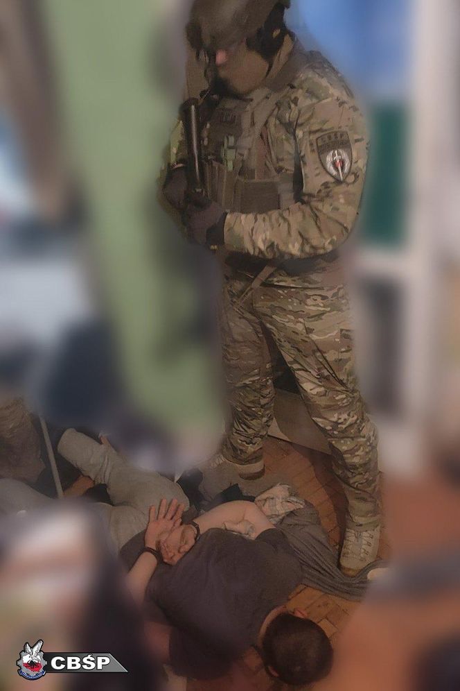 Wielka akcja CBŚP na Pomorzu. Grupa przestępcza rozbita