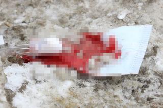  Zadźgali Andrzeja na przystanku, bo zwrócił im uwagę. 13 rocznica śmierci warszawskiego podkomisarza