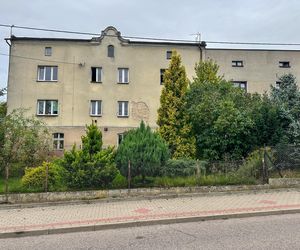 Makabra na grillu. Zadźgał pasierba, ranił partnerkę