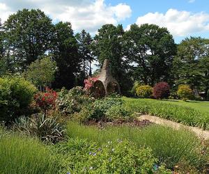 Arboretum Wojsławice - zdjęcia. Kiedy jechać?