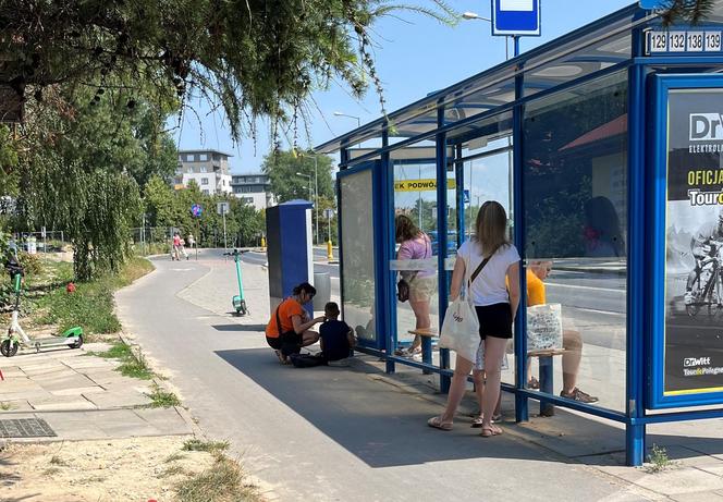 Albo ławka, albo cień. Krakowskie przystanki w upały każą wybierać