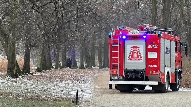 Makabra w Łazienkach Królewskich. Zamarznięte zwłoki w stawie