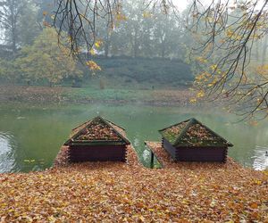 Zamojski Park jesienią