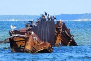 Zatoka wraków w Helu