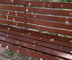Park Lawendowy na osiedlu TBS w Białymstoku