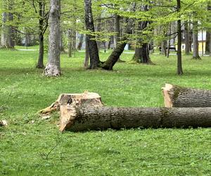 Miesiąc po wichurze, odwiedziliśmy miejsce tragedii w Rabce-Zdroju. Oto, co zobaczyliśmy