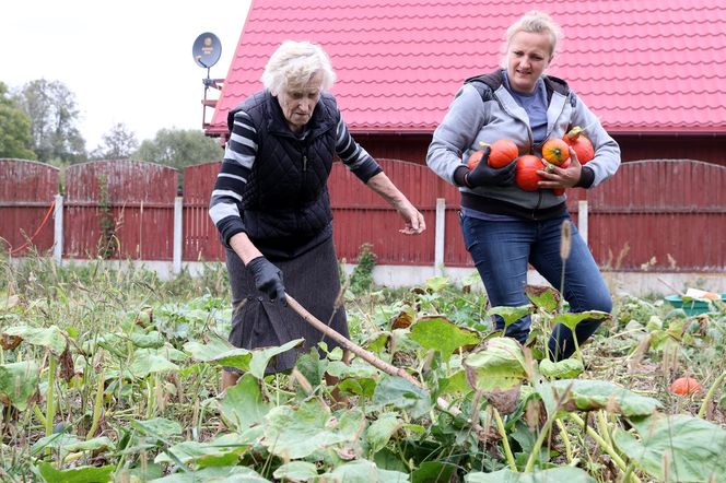 Rolnicy. Podlasie. Gospodarstwo Emilii Korolczuk z Laszek