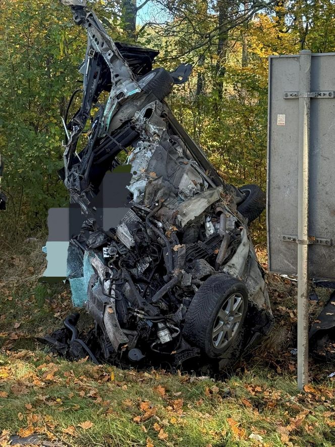 Śmiertelny wypadek pod Polkowicami. Nie żyje kierowca audi [ZDJĘCIA]