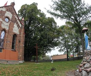 Zabytkowa lipa z Cielętnik