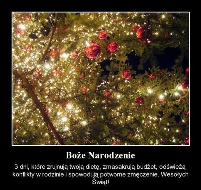 Boże Narodzenie 2021 - najlepsze świąteczne MEMY