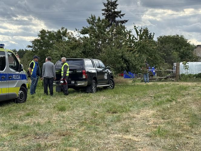 Wypadek awionetki w Krzycku Wielkim
