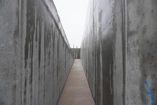 Wielkie otwarcie tunelu pod torami w Niewodnicy Kościelnej. Tak przebiegają prace w ramach Rail Baltica [ZDJĘCIA]