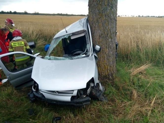 Tragiczny wypadek pod Sławnem. Citroen roztrzaskał się na drzewie