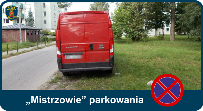 "Mistrzowie Parkowania": Tak parkują kierowcy w Warszawie
