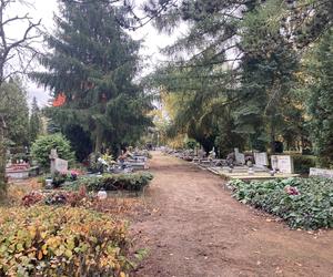 Cmentarz Junikowo 