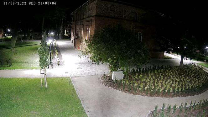 Ukradł to, co posadzili. W Braniewie grauje złodziej roślin