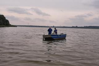 Przedłużono zakaz korzystania z jeziora Dzierżno Duże. Odłowiono już ponad 111 ton śniętych ryb