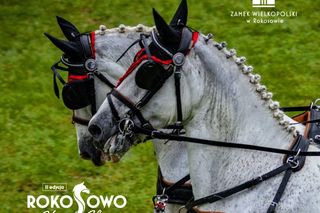 Konie, bryczki i atrakcje dla całej rodziny – Rokosowo zaprasza na Horse Show