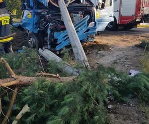 Ludwinowo Dębskie: ciężarówka wjechała w betonowy słup, kierowcy cudem nic się nie stało