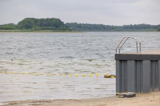 Wielkopolska Ibiza wysycha. Poważny problem z jeziorem Niedzięgiel