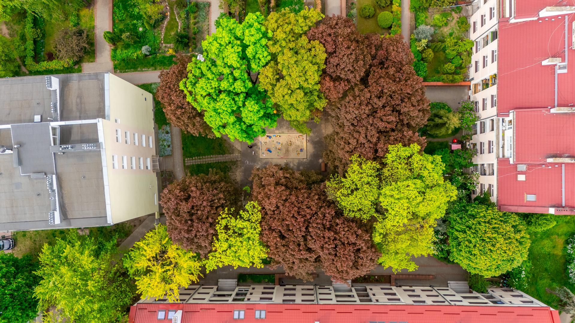 Osiedle Młodych czyli dawne Osiedle Bezdomnych Kochanków w Warszawie