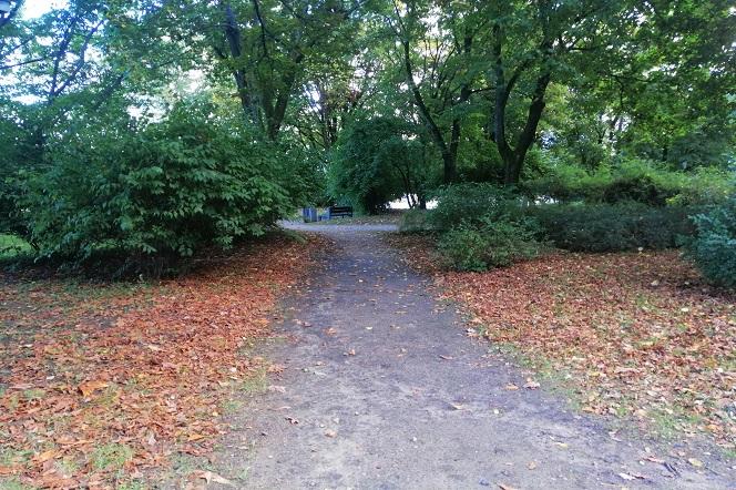 Park Centralny