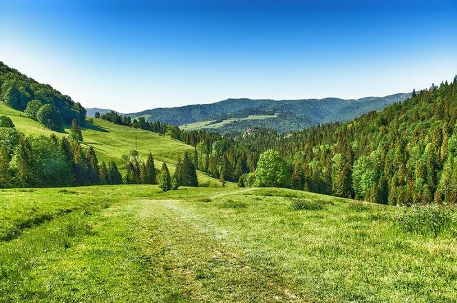 Najpiękniejsze szlaki w Polsce.  5 sprawdzonych kierunków, na wędrówki bez tłumów 