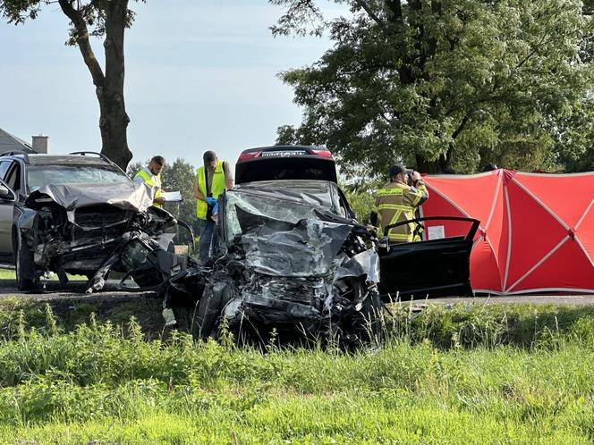 Sochaczew: Wyprzedzał i przez to zginęli? Koszmarny wypadek na prostej drodze. Nie żyją dwie osoby