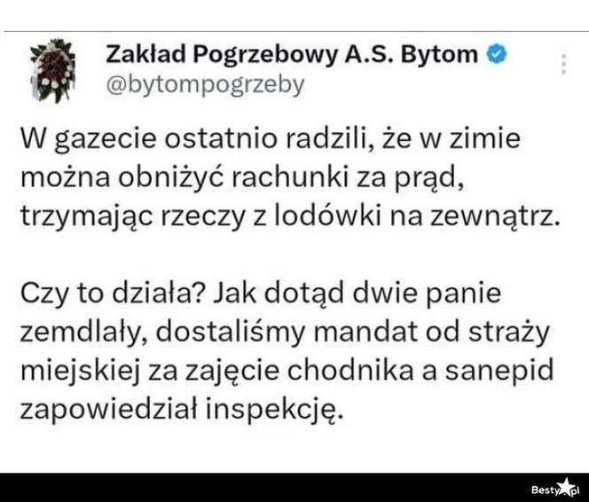 Memy o zimie roztapiają smutki. Te śnieżne obrazki rozbawią cię do łez [TOP 75]