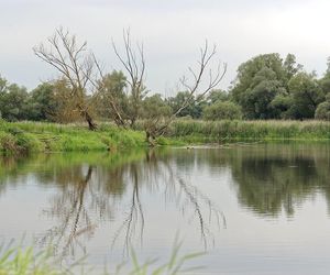 Kostrzyński Zbiornik Retencyjny