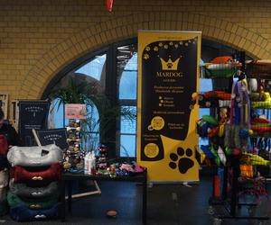 Psiaki opanowały Halę Targową! Za nami wyjątkowe targi 