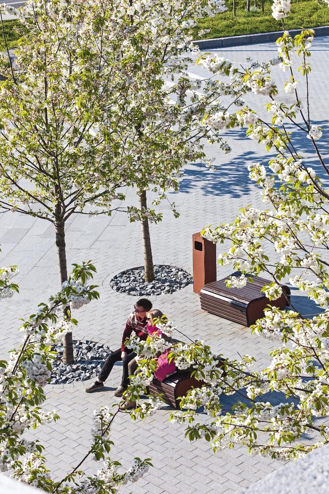 Otoczenie NOSPR w Katowicach