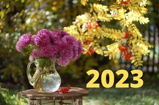 Kiedy zaczyna się w 2023 roku jesień kalendarzowa, a kiedy astronomiczna?